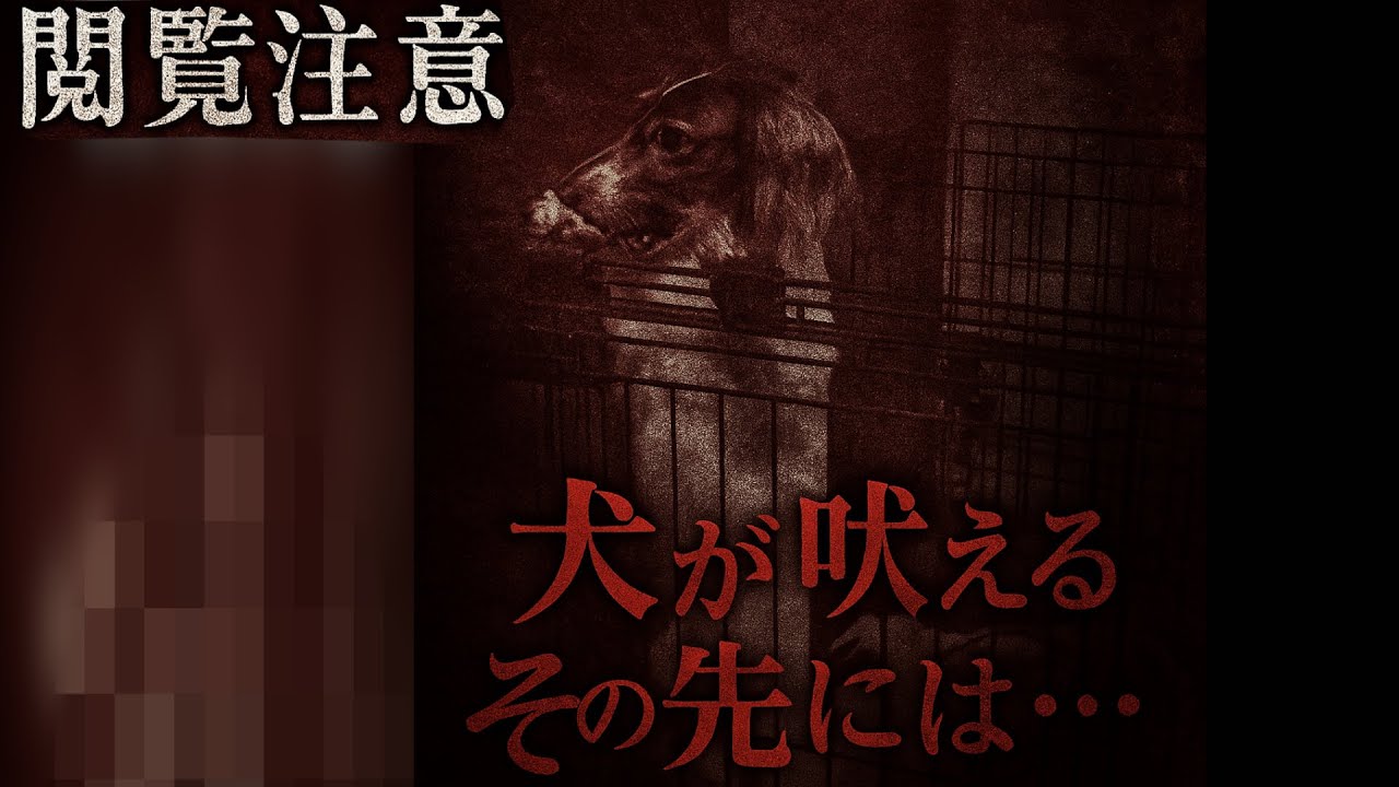 【衝撃的な結末】かわいい動画で終わるつもりが...犬と猫のお風呂【癒し動画】