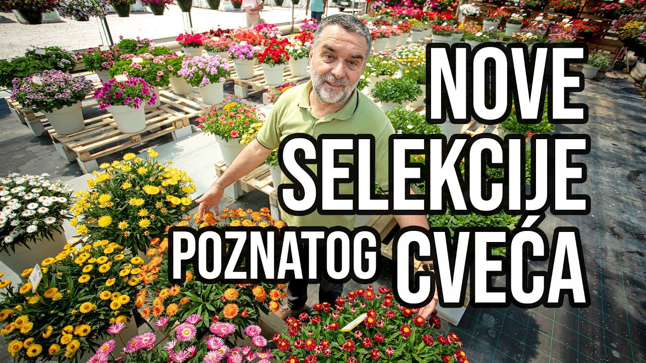 Nove selekcije poznatog cveća