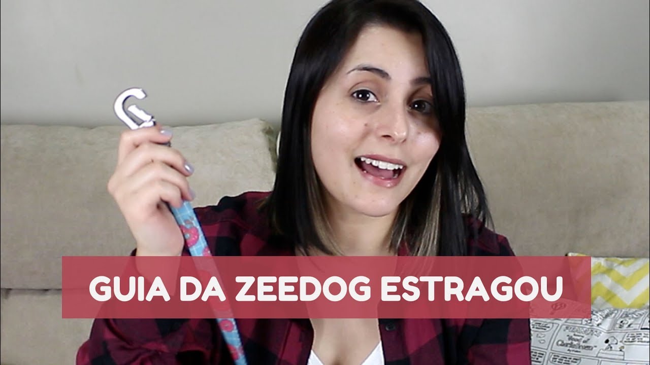 SERÁ QUE É BOM? Guias, coleiras e peitorais da ZeeDog
