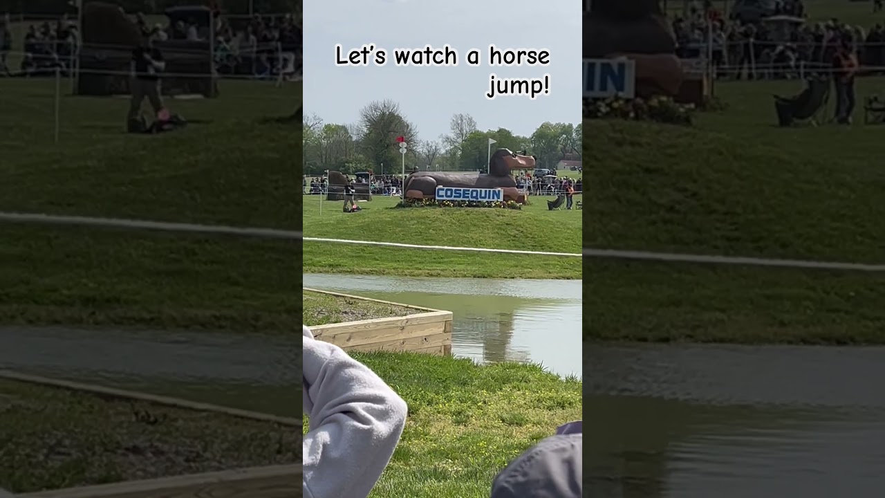 &hellip;. #horse #horsejump #jumping
