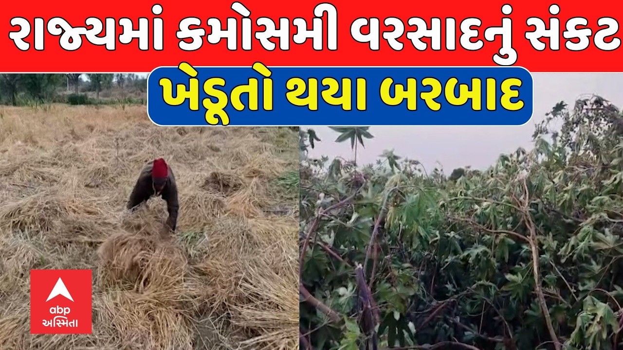 Gujarat Unseasonal Rain | રાજ્યમાં કમોસમી વરસાદનું સંકટ, ખેડૂતો થયા બરબાદ