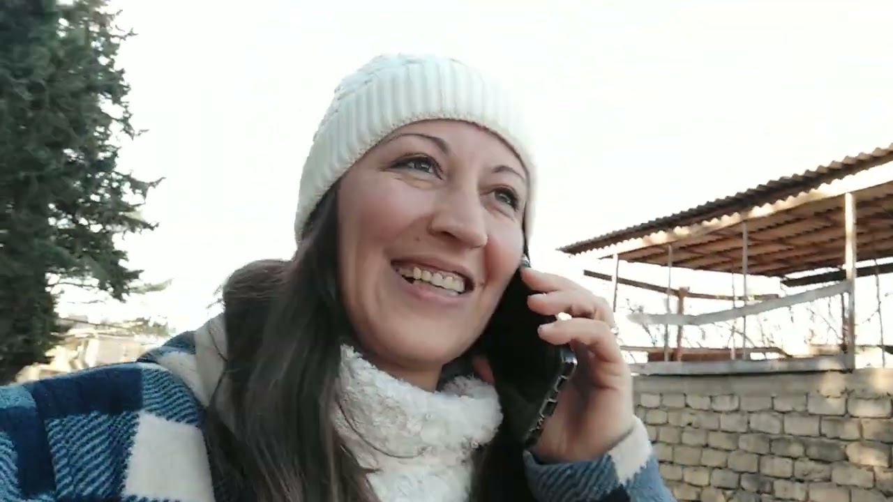ალილოობა N 1