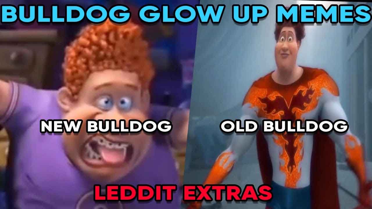 Bulldog Glow Up Memes |  LEDDIT  Extras #51