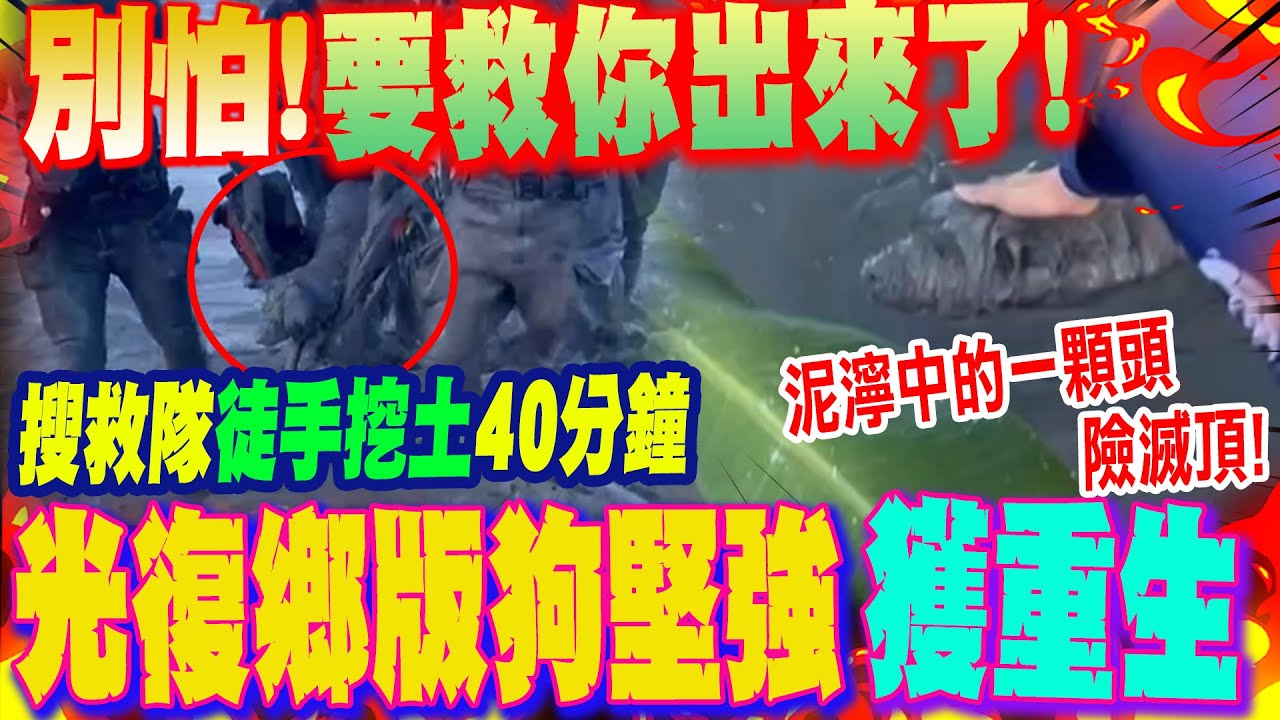 泥濘中的