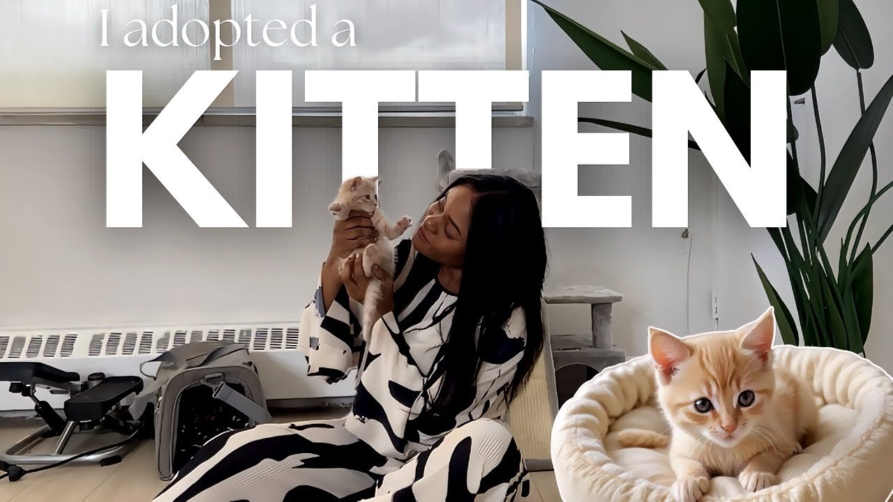 I adopted a kitten! (Kitten’s first week home 🐈)