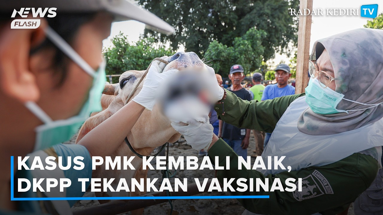 Waspada! Kasus PMK di Kediri Kembali Naik, DKPP Tekankan Pentingnya Vaksinasi