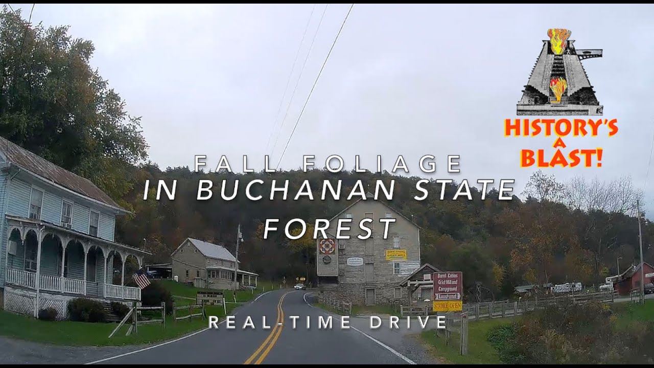 Fall Foliage in Buchanan State Forest - Real-time Drive