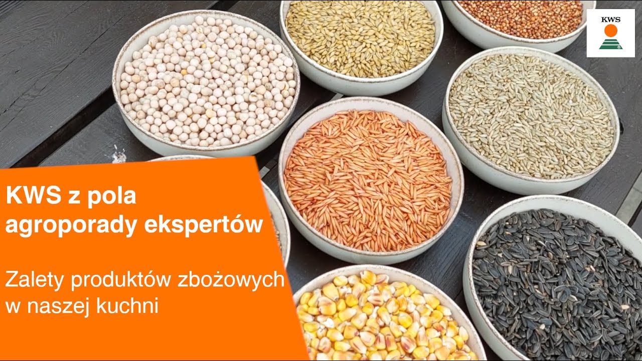 Zalety produkt&oacute;w zbożowych w naszej kuchni / KWS z pola AGROPORADY EKSPERT&Oacute;W