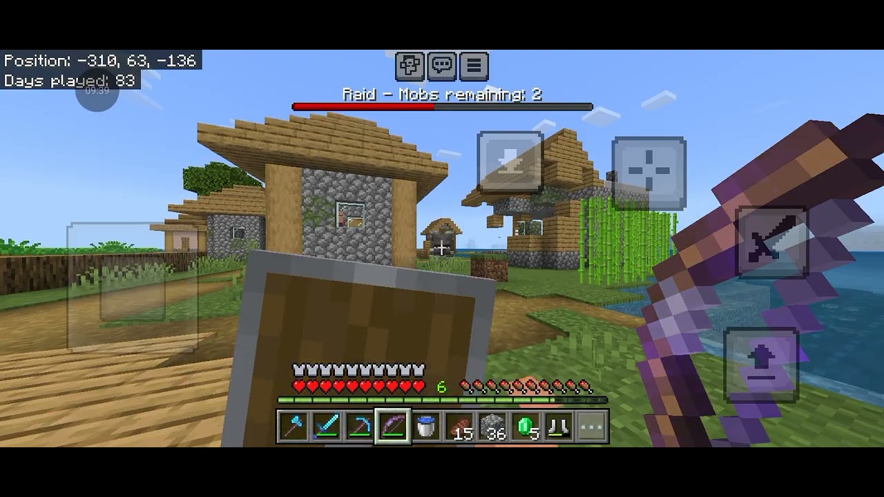 I brought a raid in minecraft #20