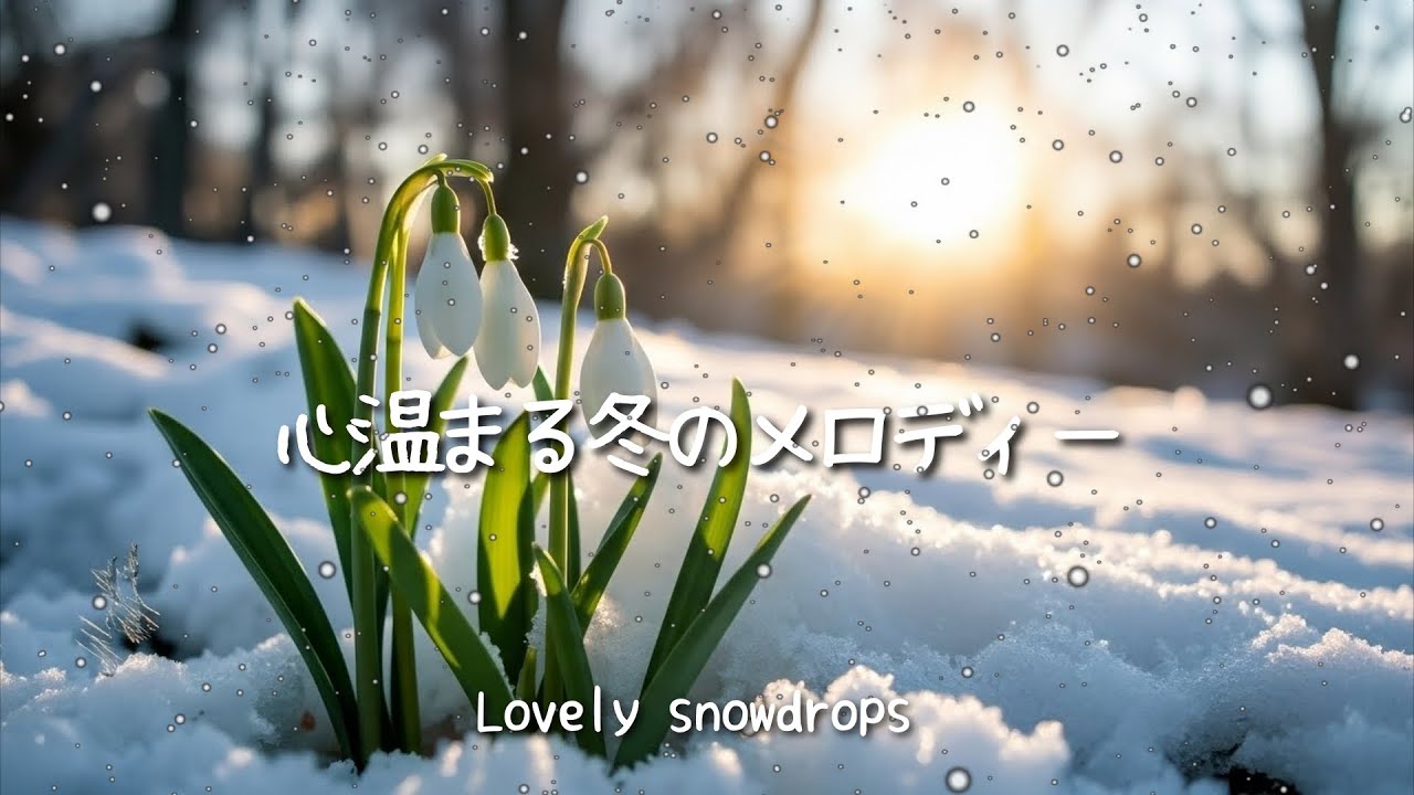 【RELAXING MUSIC】洋楽｜聞き流し60分 ｜12 scene｜女性ボーカル｜#bgm #雪 #カフェ #lofi #穏やかな時間 #心地よい音楽