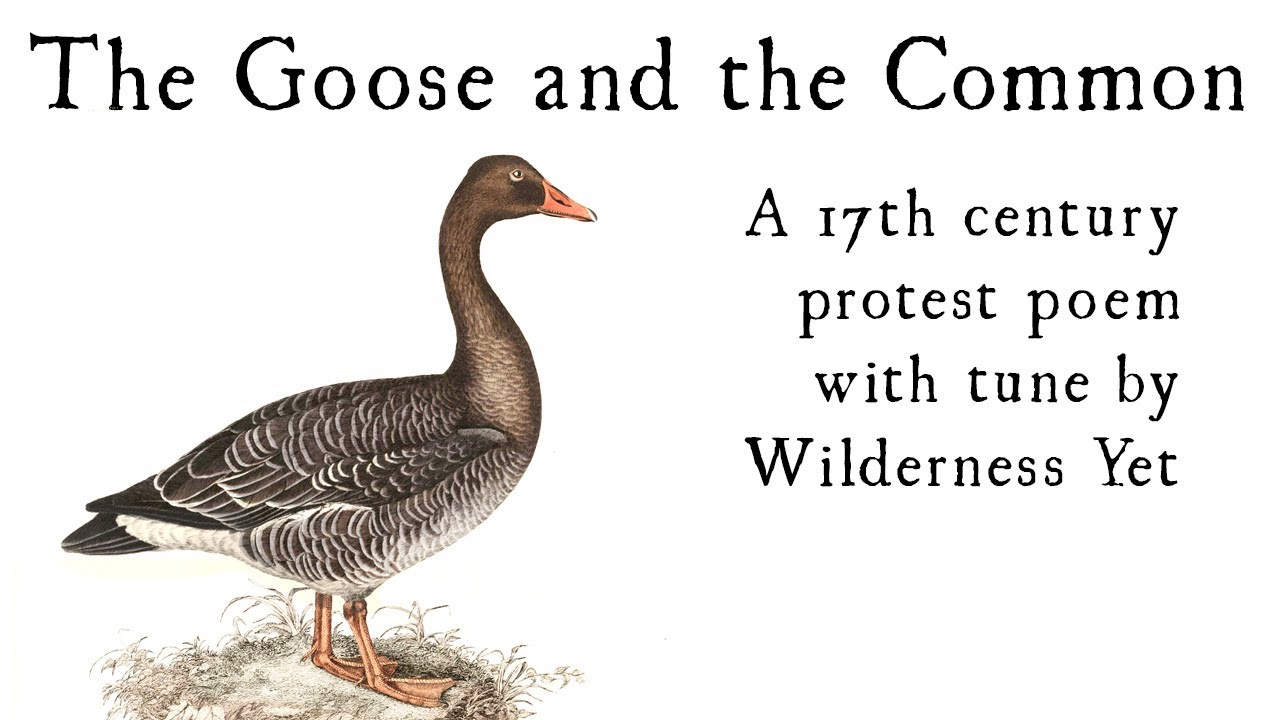 The Goose and the Common (17th century protest song)