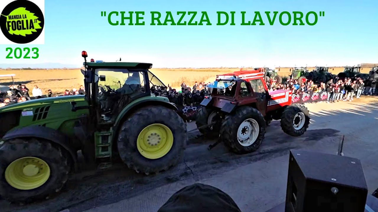 MANGIA LA FOGLIA 2023