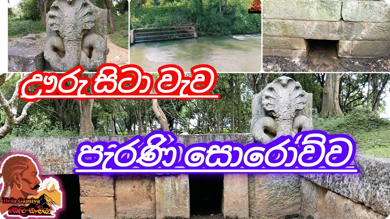 නාග පේන හත සහ බිං උමග.#lake #Helagamiya #වැව්&zwj; 