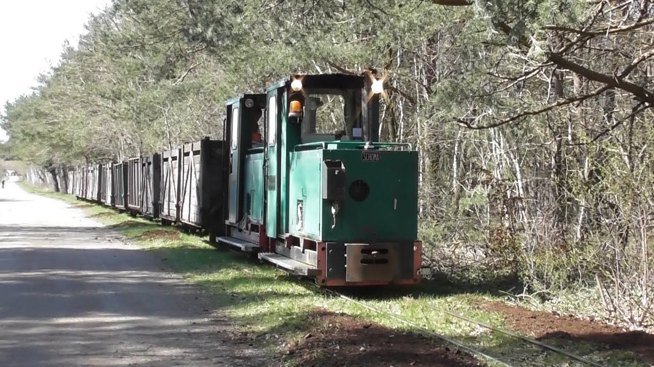 Torfbahn Steinfeld Leerzug
