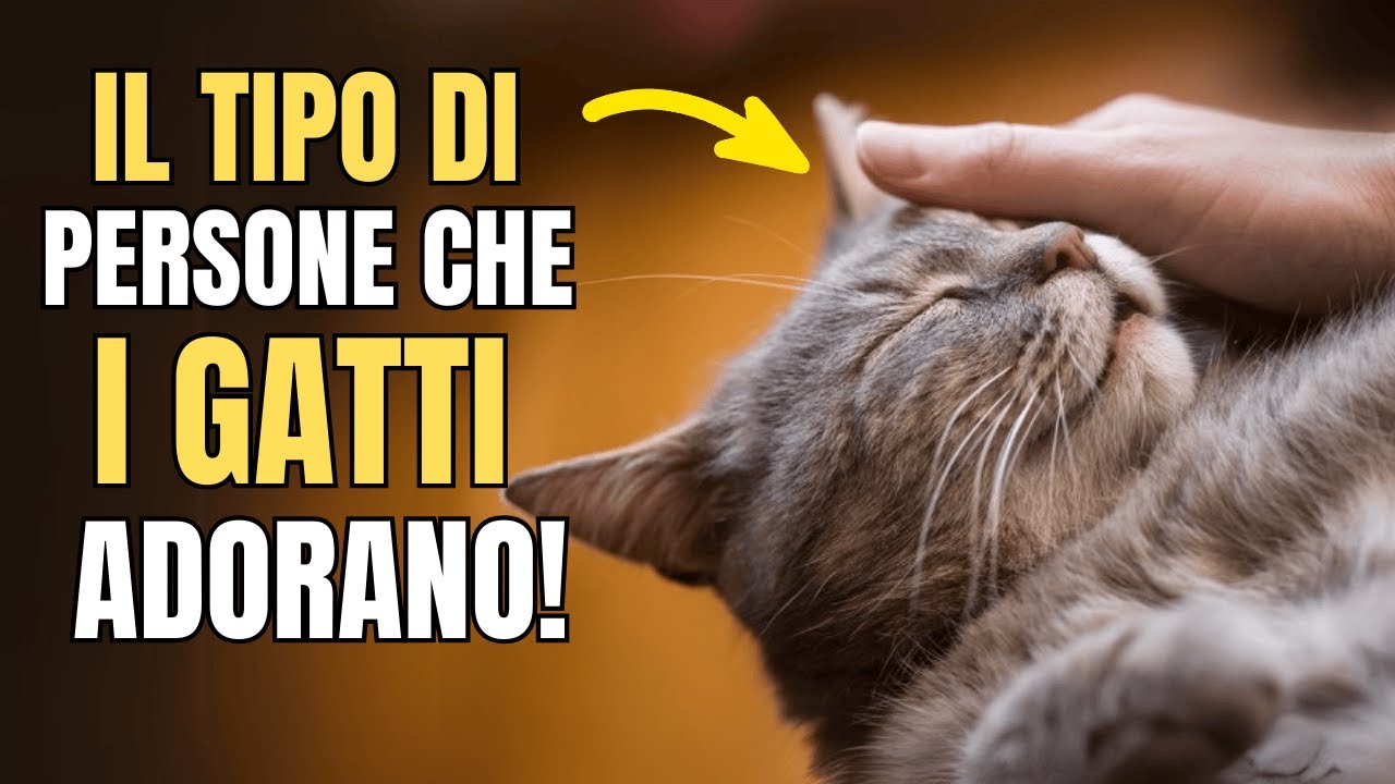 I gatti si ricordano per sempre delle persone che fanno queste 10 cose