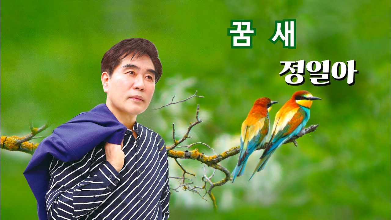 정일아 골든앨범 3-1  '꿈새'