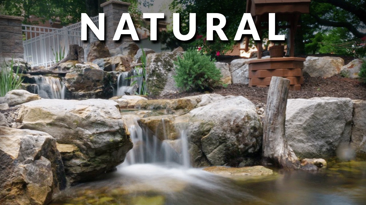 What Makes a Koi Pond Look Natural (This Build Explains It All)