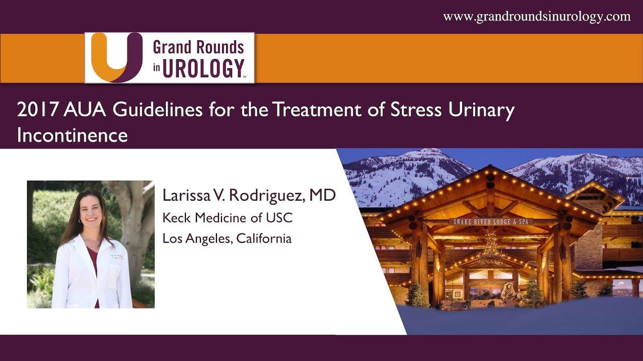 2017 AUA Guidelines for the Treatment of Stress Urinary Incontinence