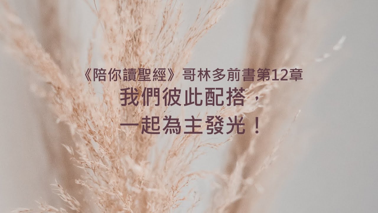 哥林多前書12章/陪你讀聖經《我們彼此配搭，一起為主發光！》