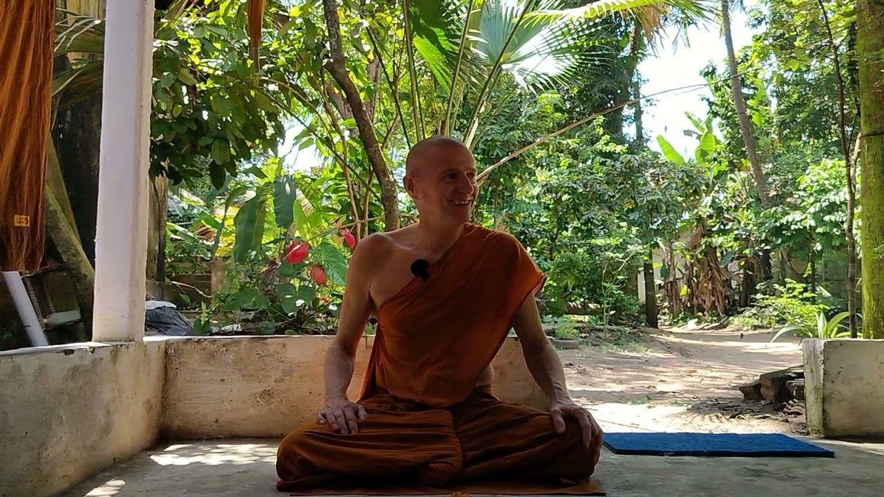 MONK's Q&A's HOW to REMAIN DISCIPLINED