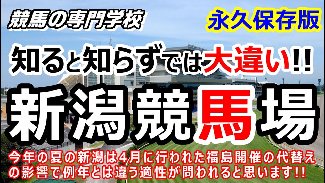 【競馬】新潟競馬場 攻略ポイント 初心者にも分かり易く徹底解説【競馬の専門学校】