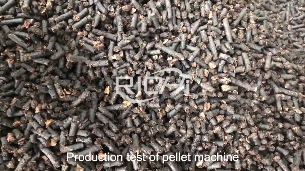 Chicken Manure Pellet Machine Pelletizing Process Video &ndash; RICHI Organic Fertilizer Pelletizer  Chick