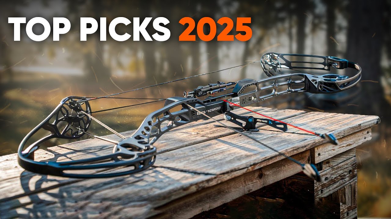 Лучшие луки 2025 года — рейтинг и обзор!