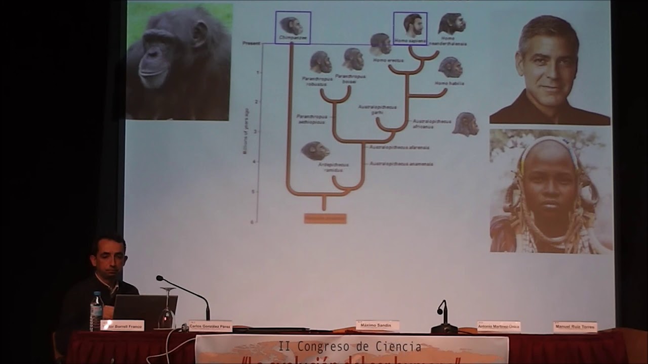 La evolución del cerebro humano. Impartida por Víctor Borrell Franco.