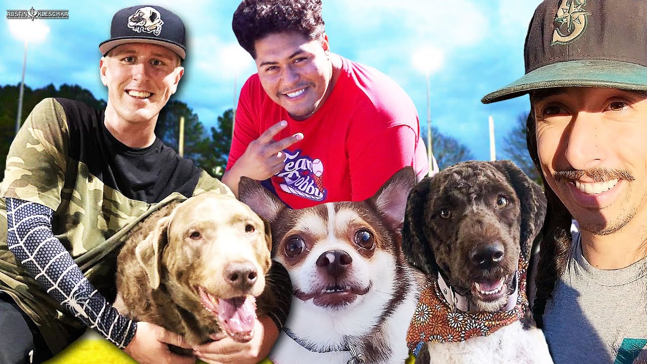 WE HAD A BARK AT THE PARK SOFTBALL GAME! | Kleschka Vlogs