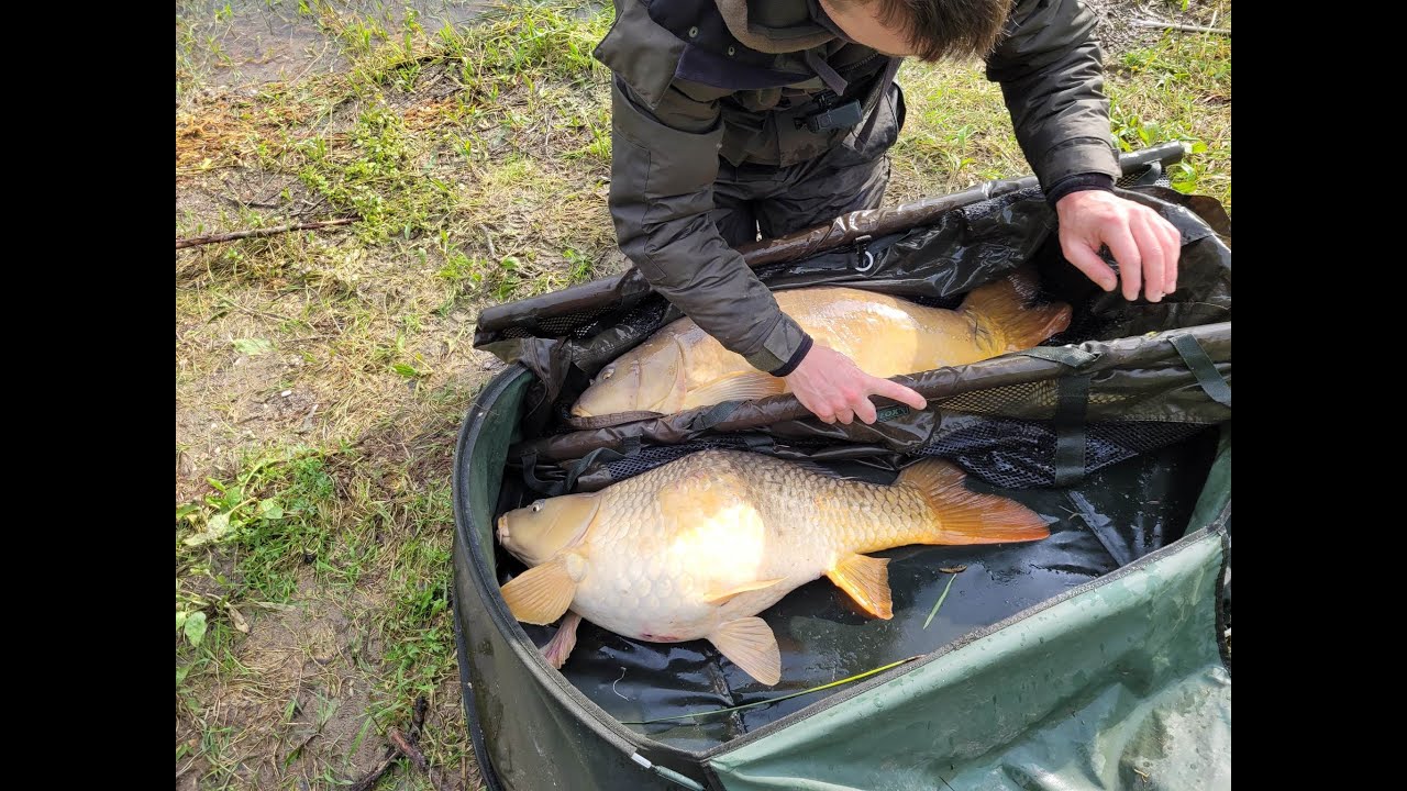 Beaurepaire 2023 Double hook up!
