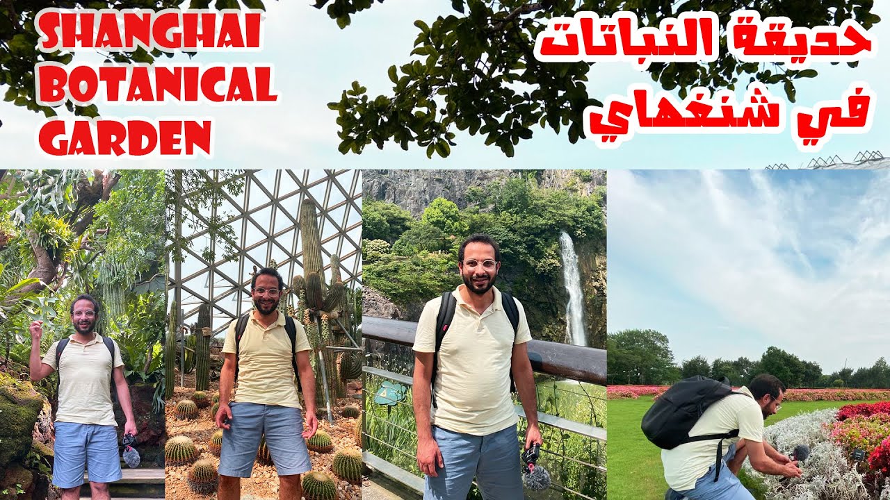 حديقة النباتات في شنغهاي || Shanghai botanical garden