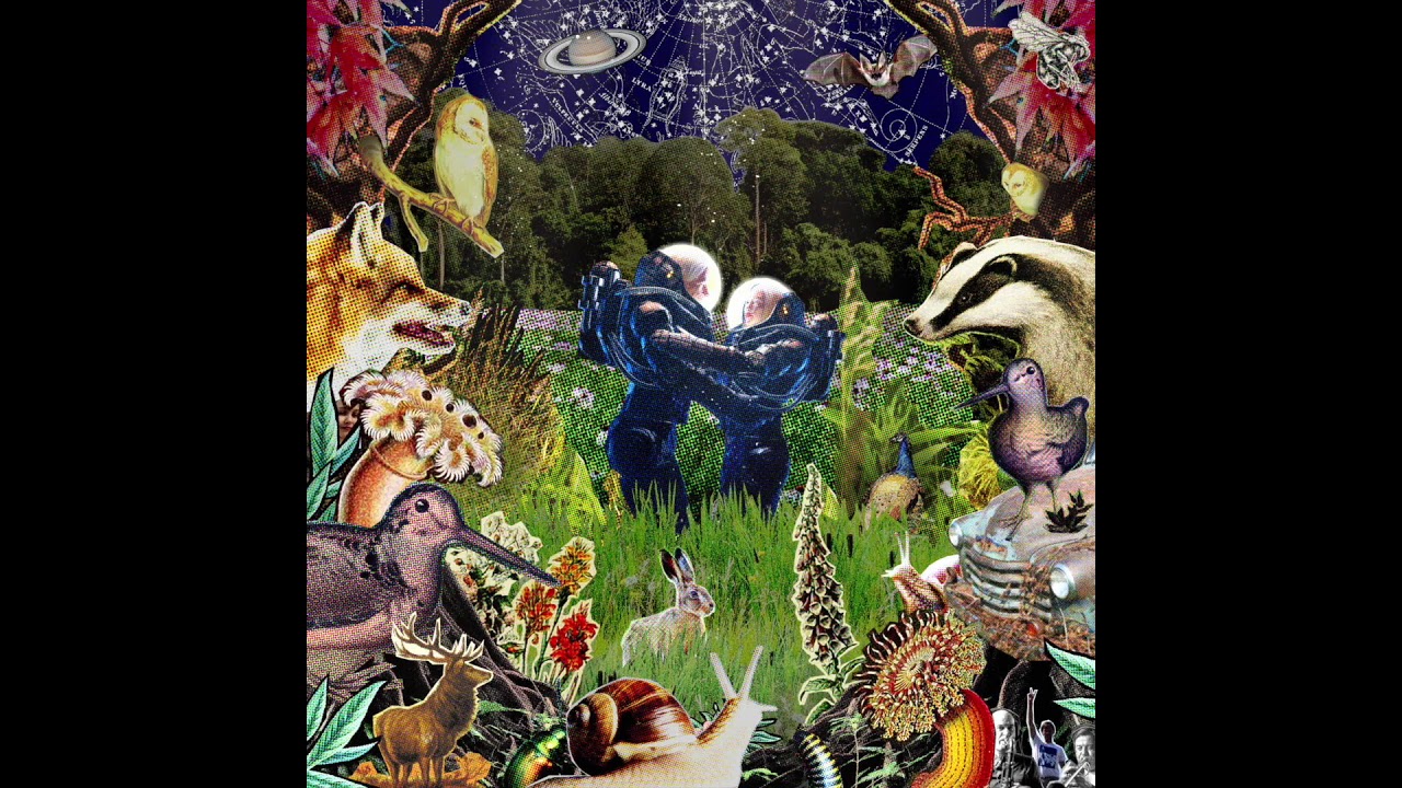 Just Jack & The Easy Access Orchestra - Long Grass (Official Audio)