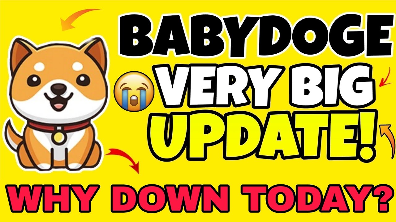 BabyDoge Coin Dlaczego w d&oacute;ł? 😭 | Wiadomości o BabyDoge Coin dzisiaj | Nowa duża aktualizacja Bab...