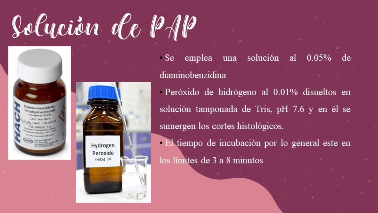 T&Eacute;CNICA PEROXIDASA