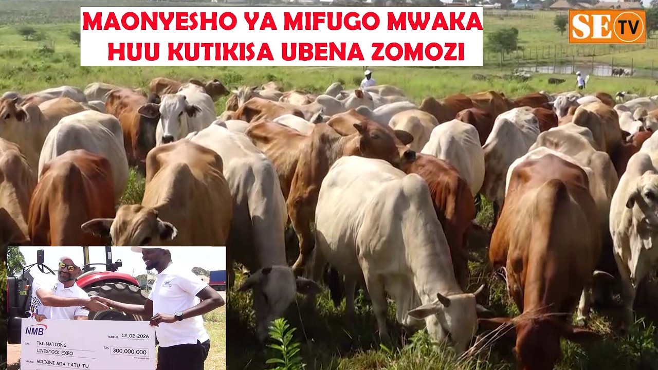 MAONYESHO YA MIFUGO MWAKA HUU KUTIKISA UBENA ZOMOZI, NMB YATOA MILIONI 300 KUDHAMINI