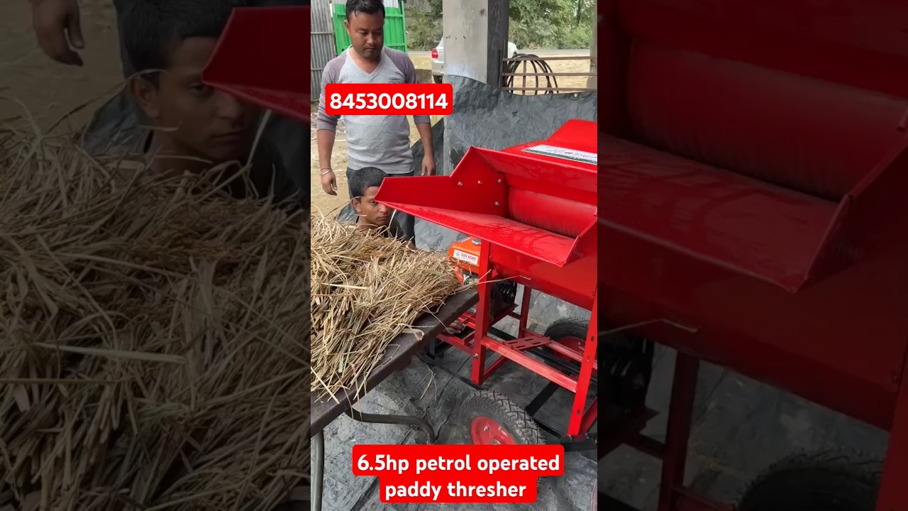 Mini paddy thresher// guwahati assam// HVF agency// 8453008114
