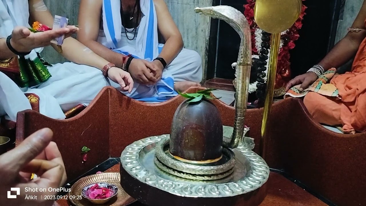 पूरा रुद्राभिषेक पुजन काशि विश्वनाथ /pura rudrabhishek Kashi Vishwanath vanarasi = part -1