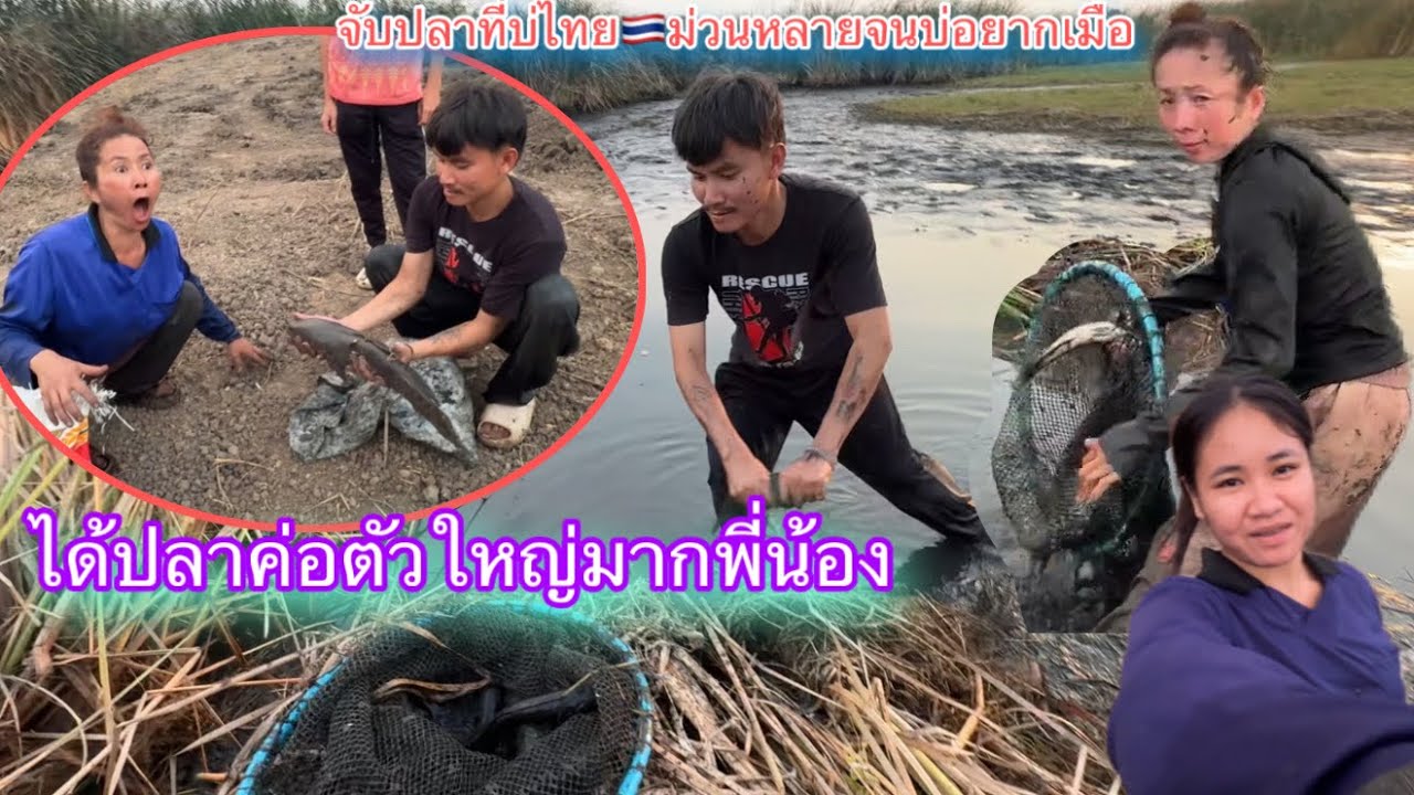 จับปลาในบ่อเถ้าแก่ที่ประเทศไทย🇹🇭อีพี2￼ 🐟หลายคักจับม่วนๆจนไม่อยากกลับลาว🇱🇦