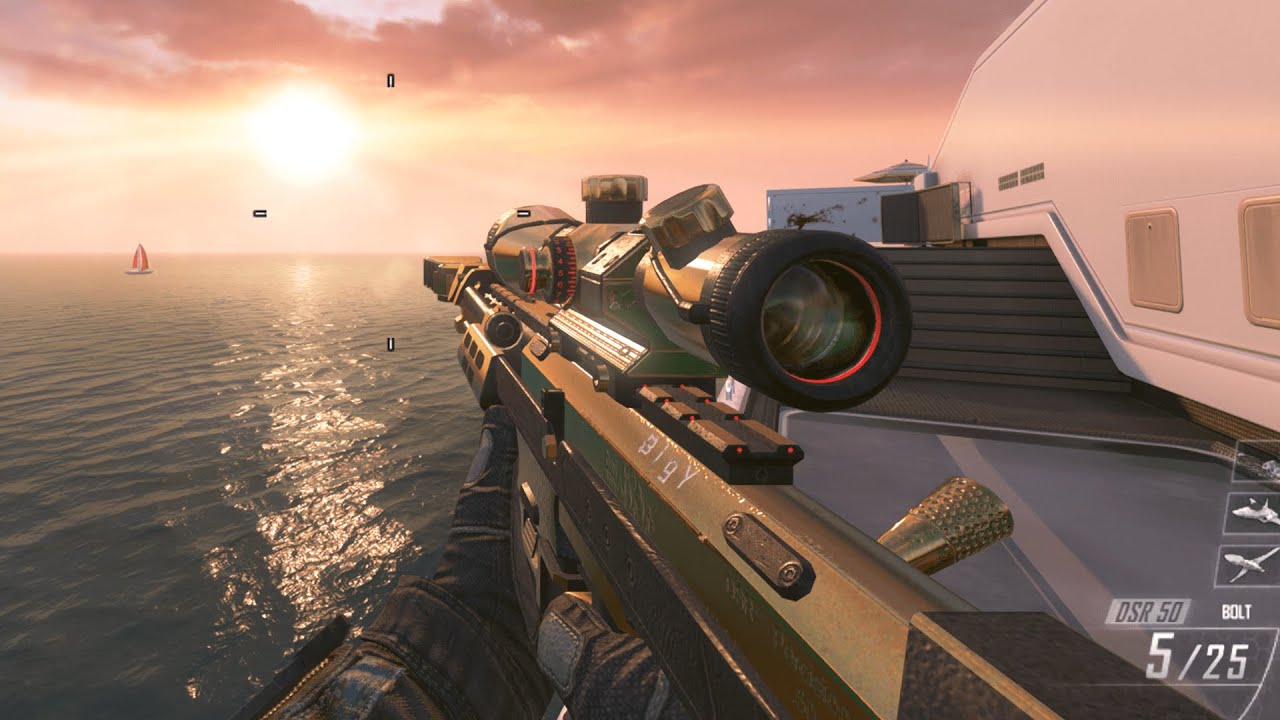 Black Ops 2 All gold Guns Camo