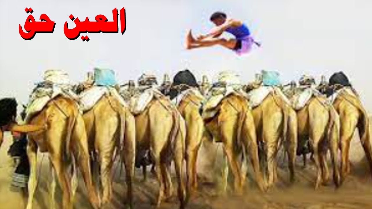 فقط في اليمن الزرانيق والقفز على الجمال 