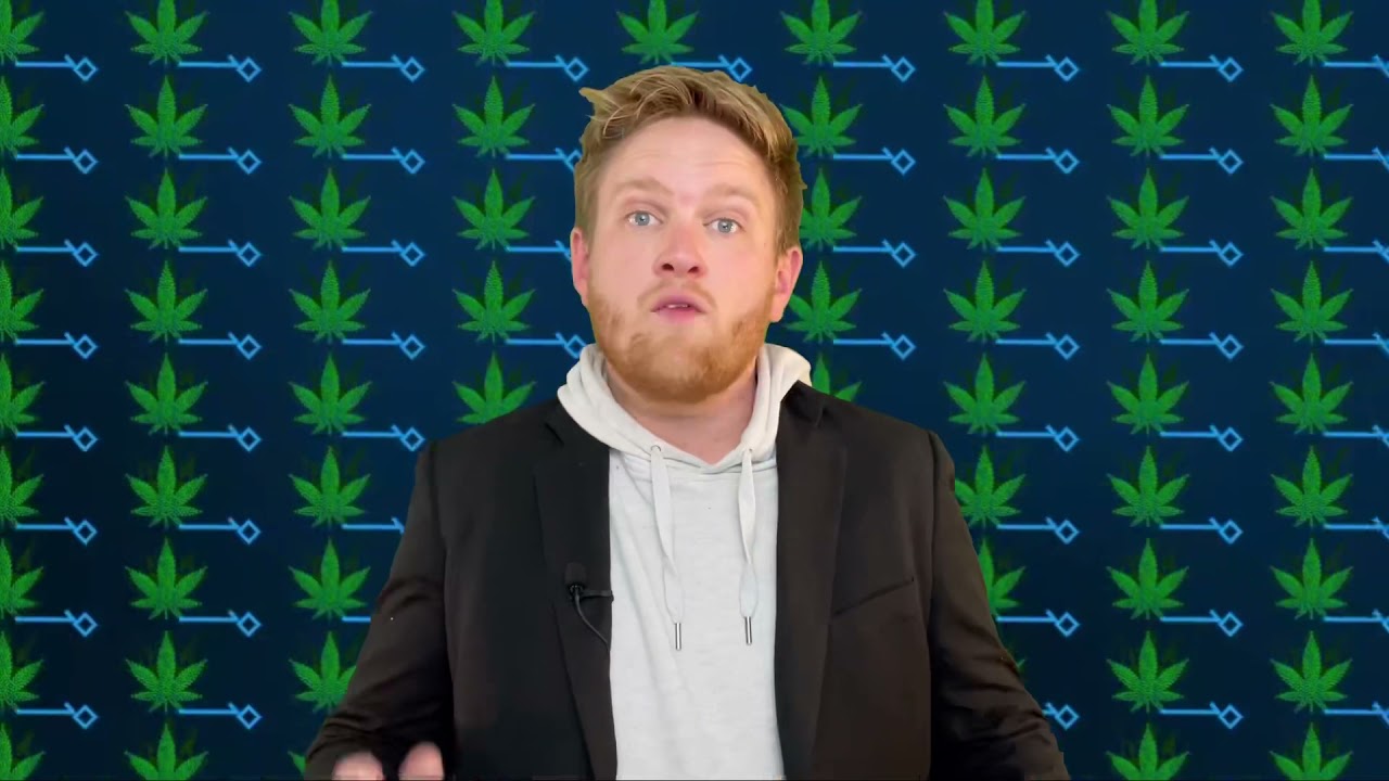 &ldquo;The Weed Game Show&rdquo; Sponsor Opportunities