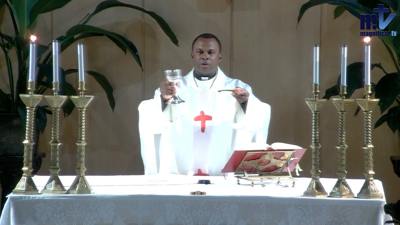 La Sainte Messe du jour | Sainte Elisabeth de Hongrie | 17-11-2025 | P. Achille Jos&eacute; Nkomo B, FM