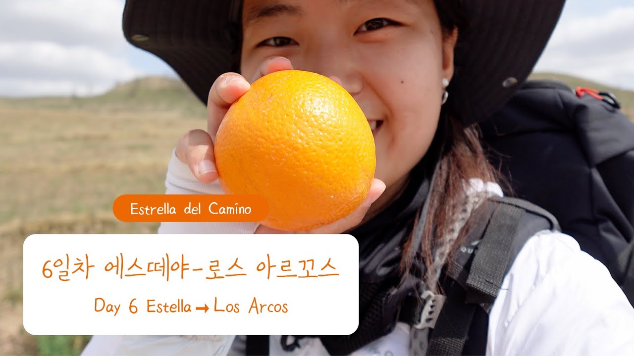 [산티아고 순례길] 8. 6일차 에스떼야 ➞ 로스 아르꼬스 🇪🇸 (Camino de Santiago 8. Day 6 Estella ➞ Los Arcos)