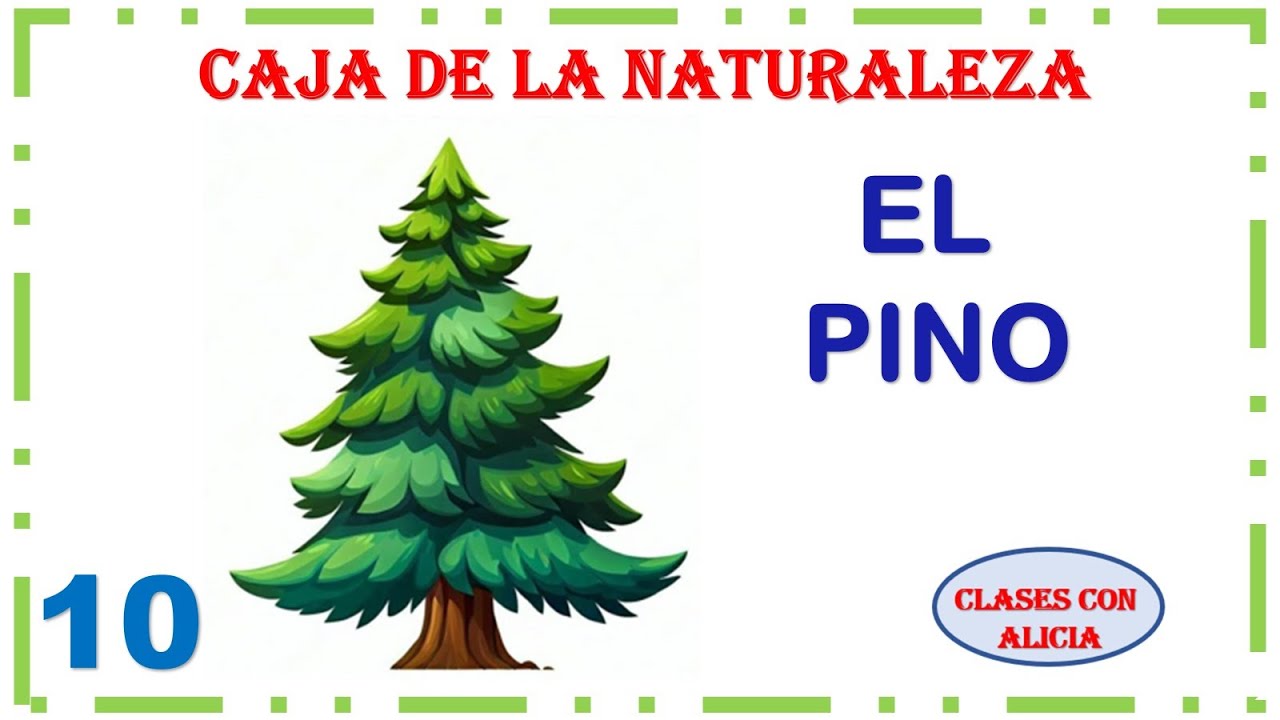PRINCIPIANTES - CAJA DE LA NATURALEZA- EL PINO - VIVOS EN JESUS- MINISTERIO INFANTIL