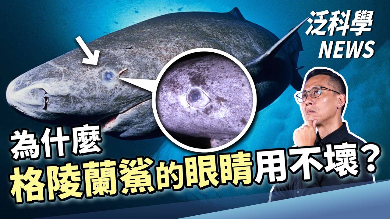 魯賓天文台揭露非典型小行星的真相！細胞膜能自己發電？【泛科學NEWS EP42】