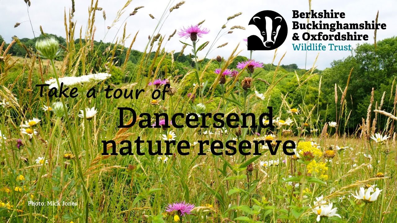 10 minute tour of Dancersend Nature Reserve