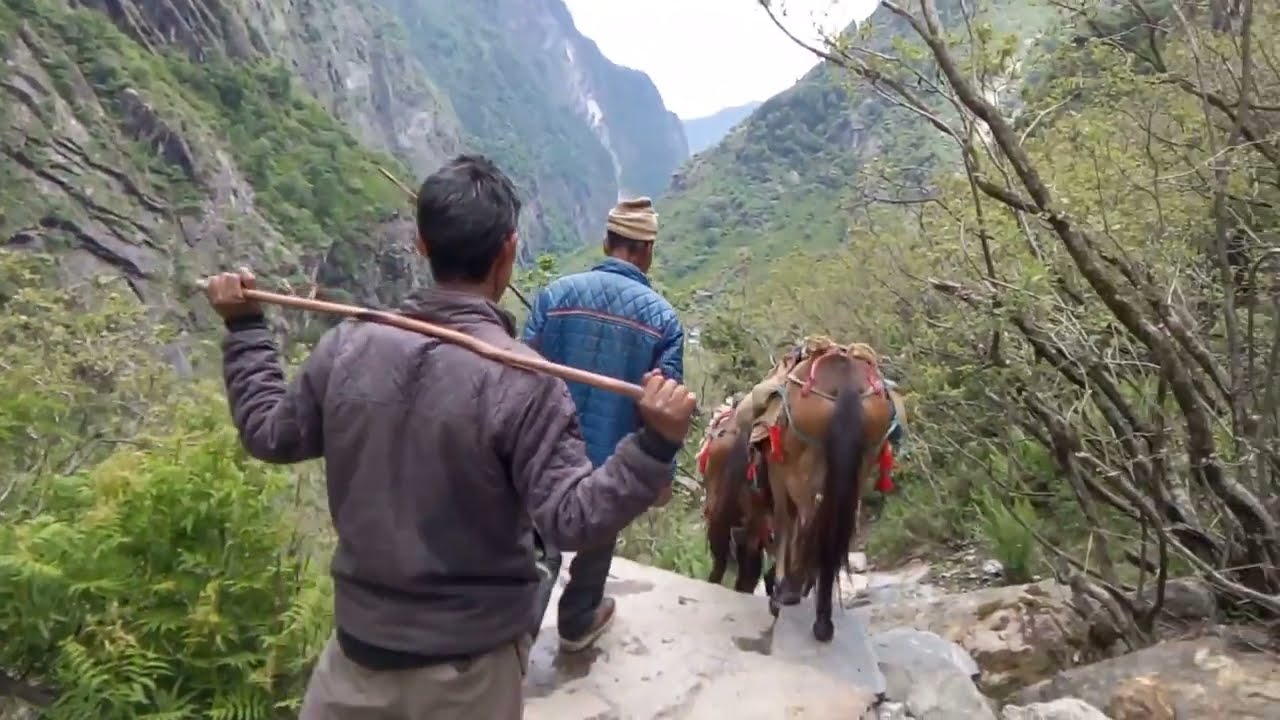 Nanda Devi East and Milam Glacier Trek