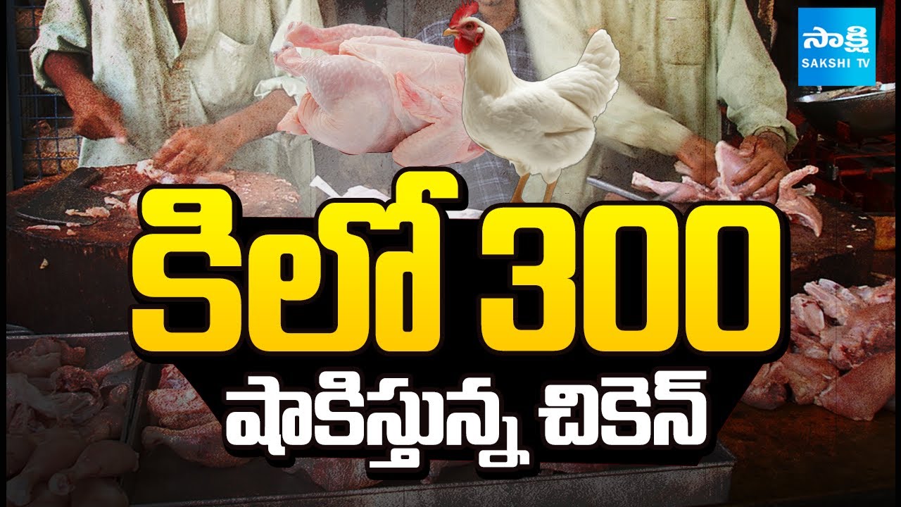 సంక్రాంతికి KG 400 | Chicken Prices Hike In Telugu States | Chicken Rate Today | @SakshiTV