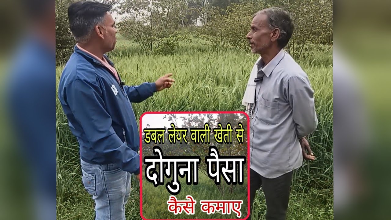 डबल लेयर वाली खेती करने का सही तरीका || Girdhar ki badi #khetibadi #narsary #girdhar#badi