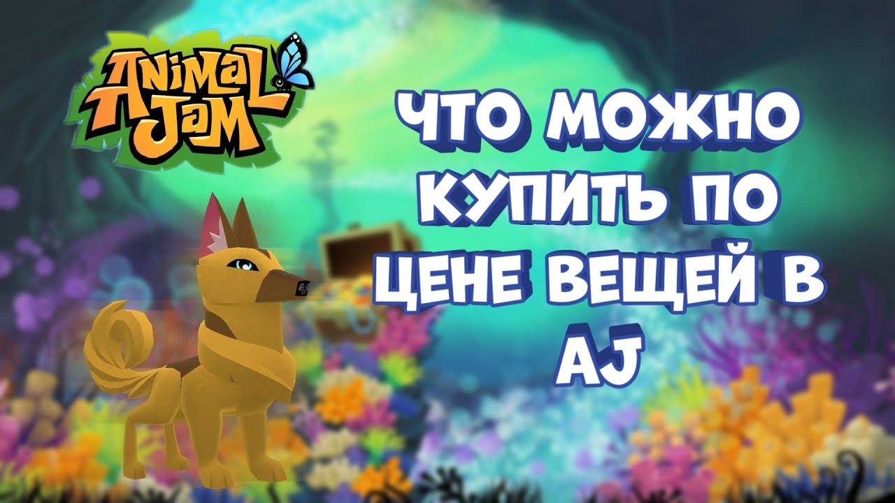 Что можно купить по цене вещей в ~Animal Jam~ ⁉️